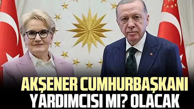 AKŞENER CUMHURBAŞKANI YARDIMCISI MI? OLACAK
