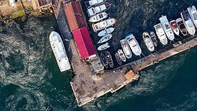 Yaklaşık 2 haftadır gittikçe artıyor