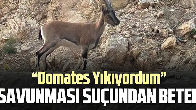 SAVUNMASI SUÇUNDAN BETER