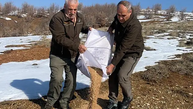 Batman'da hayvanlar için doğaya yem bırakıldı