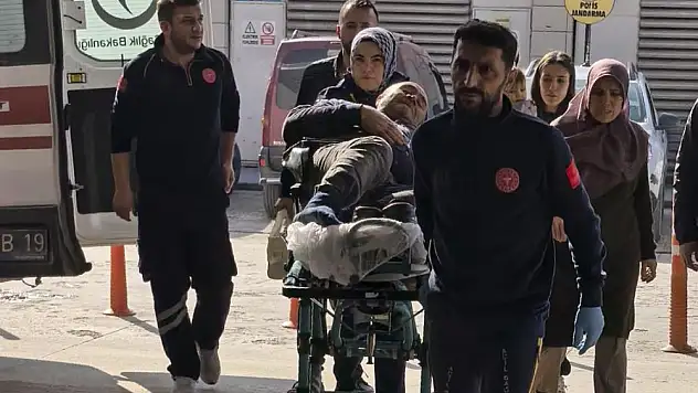 Budadığı ağaçtan düşen şahıs yaralandı