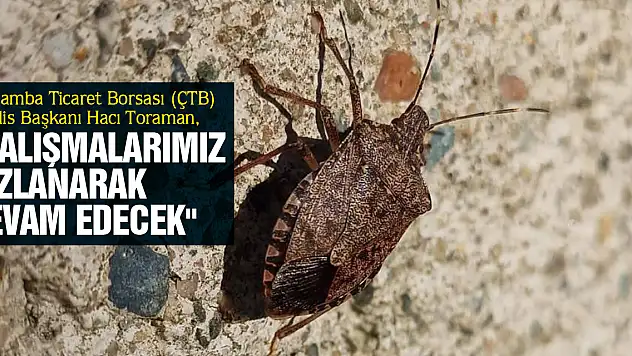 'ÇALIŞMALARIMIZ HIZLANARAK DEVAM EDECEK'