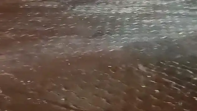 Antalya'da drift yapan 4 sürücüye 206 bin 412 lira ceza