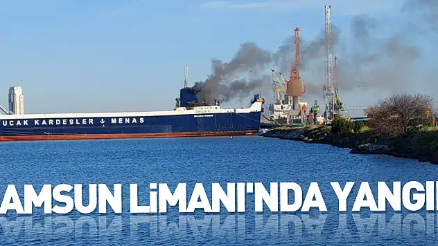 Samsun Limanı'nda yangın