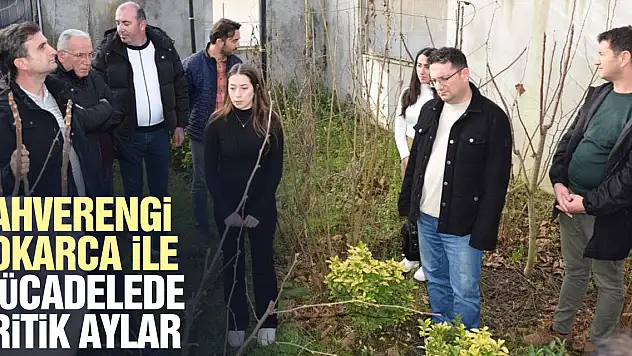 Teknik personele kahverengi kokarca mücadelesi anlatıldı