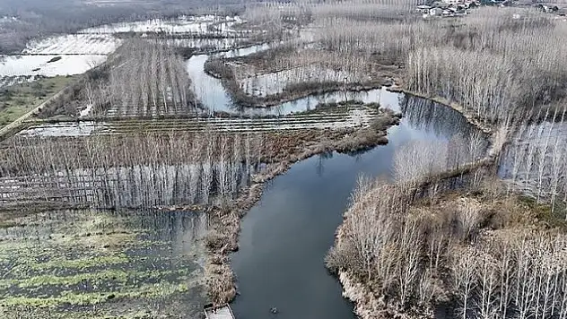 Acarlar Longozu geleceğe taşınacak