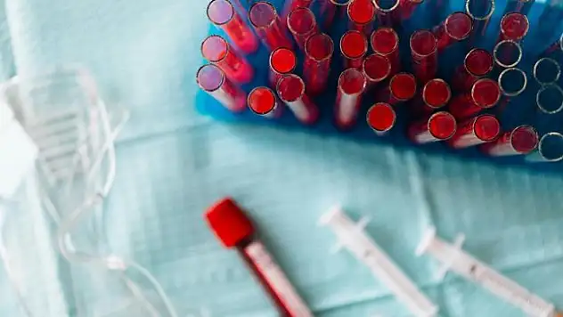 'Kalp kası yamaları' geliştirildi