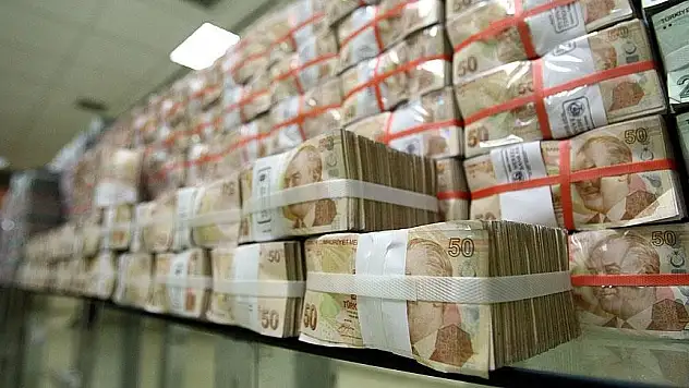 Hazine'nin 2024 yılı vergi dışı normal gelirleri 54,2 milyar lira oldu