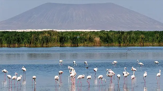 131 sulak alan koruma altında