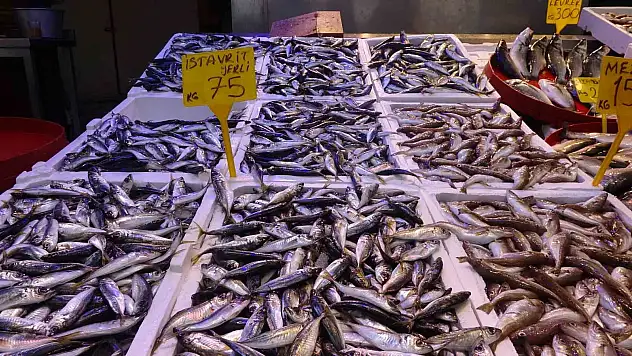 Mutlu'dan av yasağı uzatılsın çağrısı