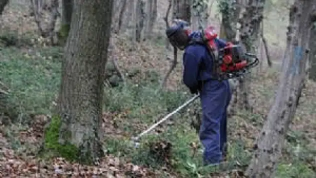 Canik'ten yeşil alanlara kış bakımı