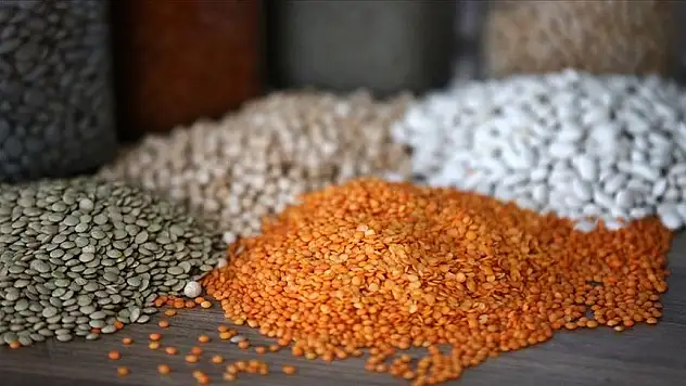 Hububat, bakliyat ve yağlı tohumlar ihracatı 1,03 milyar dolar oldu