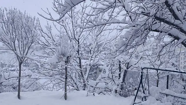 Hakkari'de beyaz örtü
