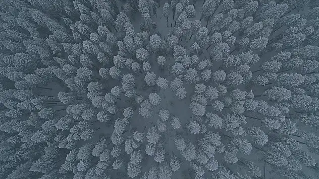 Karla kaplanan Ilgaz Dağı dronla görüntülendi