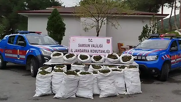 146 kilo uyuşturucu ele geçiridi