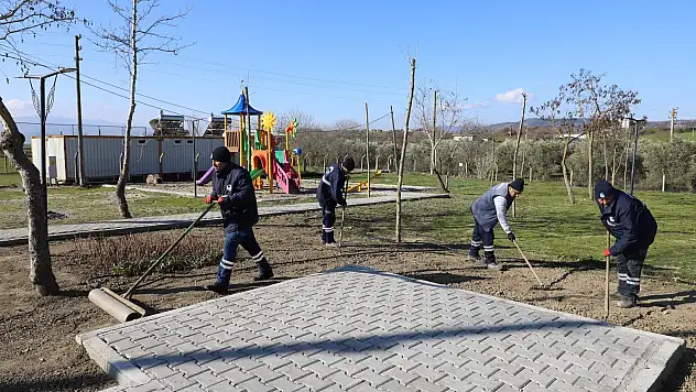 Üçpınar Mesire Alanında çalışmalar