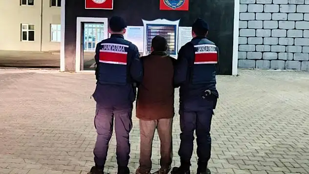 Kaçak dolandırıcılar yakalandı