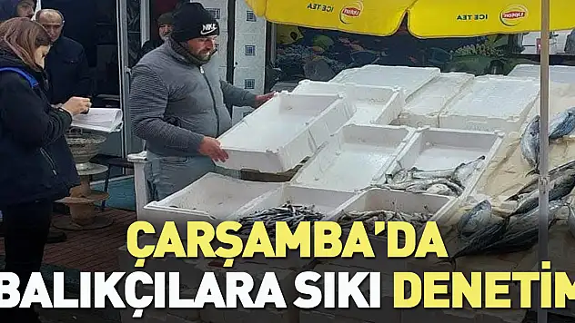 Çarşamba'da balıkçılara sıkı denetim