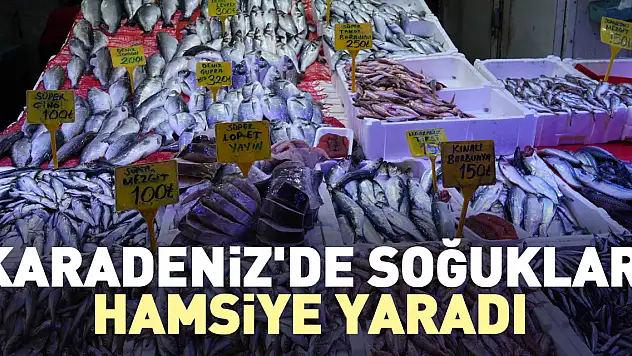 Karadeniz'de soğuklar hamsiye yaradı