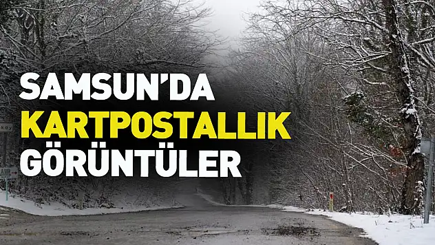 Samsun'un yüksek kesimleri kara teslim