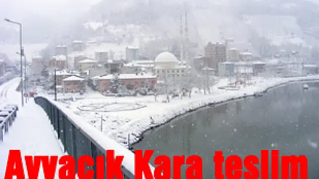 Ayvacık Kara teslim