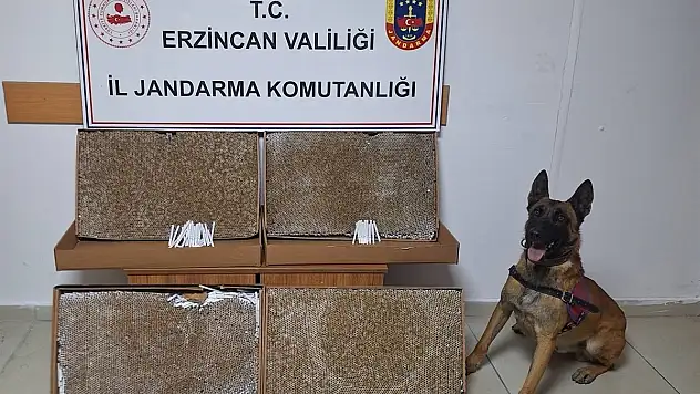 Erzincan'da 2025 Ocak ayında jandarma mıntıkasında meydana gelen 126 olayın yüzde 99'u aydınlatıldı