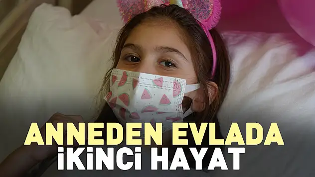 Anneden evlada ikinci hayat