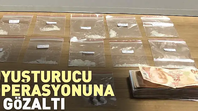 Uyuşturucu operasyonuna 1 gözaltı