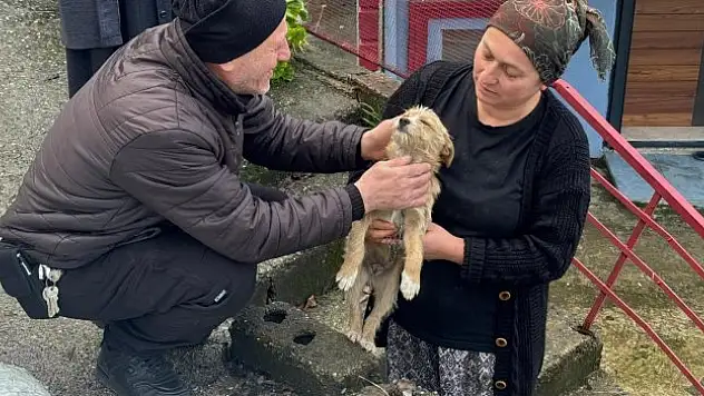 Sokağa atılan köpeği sahiplenen vatandaş, 'Sahibi de gelse alamaz'