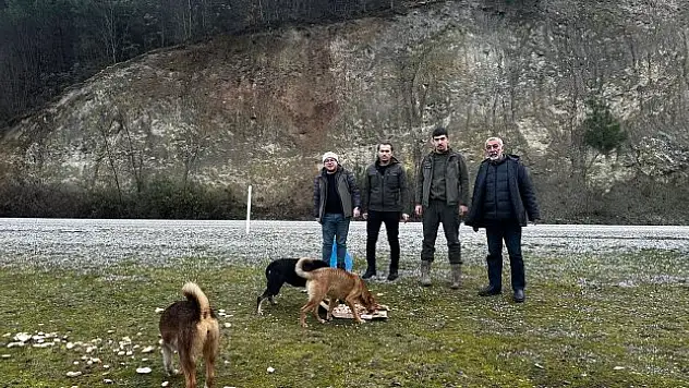 Yaban hayvanları aç bırakılmadı