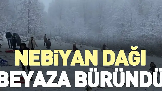 Nebiyan Dağı beyaza büründü