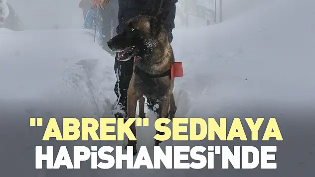 'Abrek' Sednaya Hapishanesi'nde