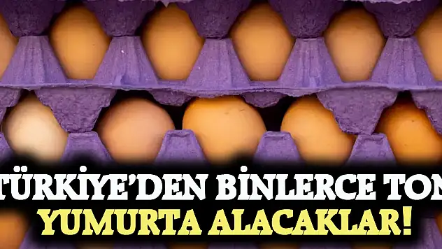 Türkiye'den 15 bin ton yumurta alacaklar!