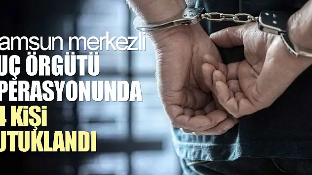Suç örgütü operasyonunda 24 tutuklama