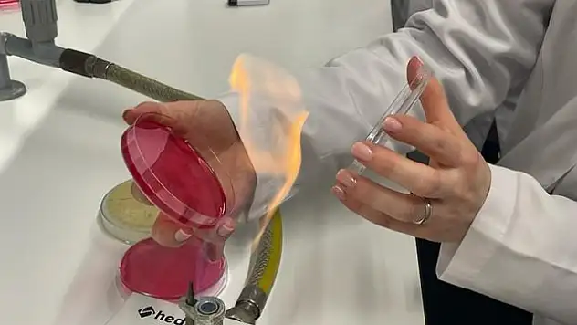 Uçak yakıtında yeni bir bakteri cinsi