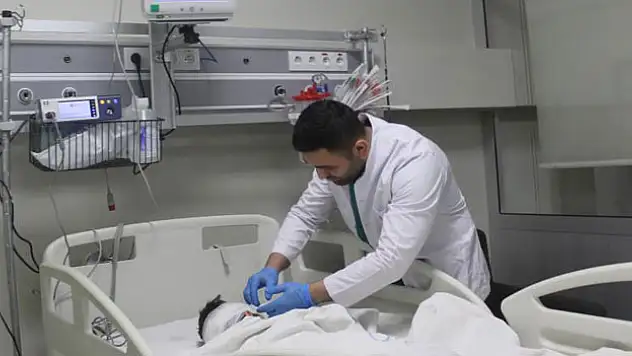 4,5 yaşındaki çocuk 5 sokak köpeğinin saldırısına uğradı