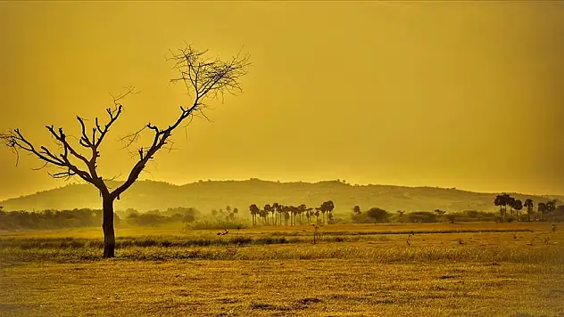 Türkiye'de tarımsal ve hidrolojik kuraklığın etkisi sürüyor