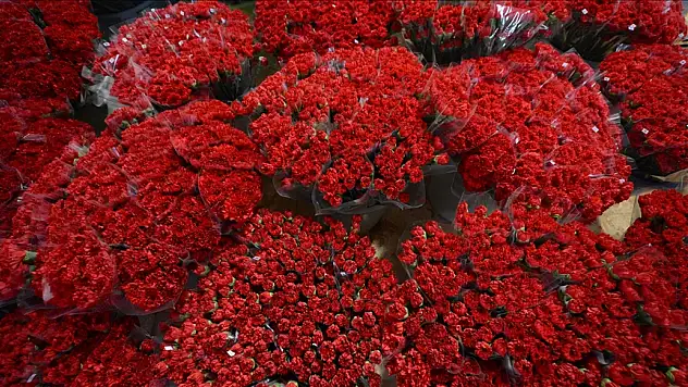 Antalya'dan 30 ülkeye 75 milyon dal çiçek gönderildi