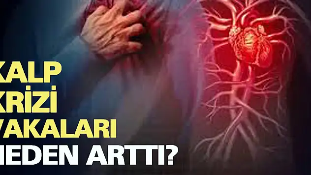 Kalp krizi vakaları neden arttı?