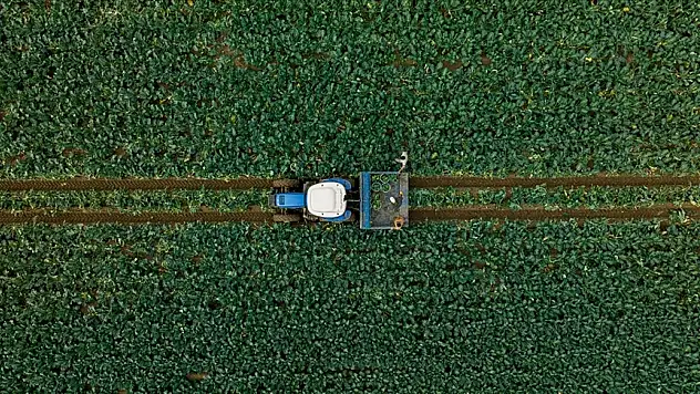 Çiftçilere 3,2 milyar lirayı aşan destek ödemesi