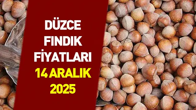 14 Aralık Düzce Fındık Fiyatları | Akçakoca Hattında Talep Güçleniyor