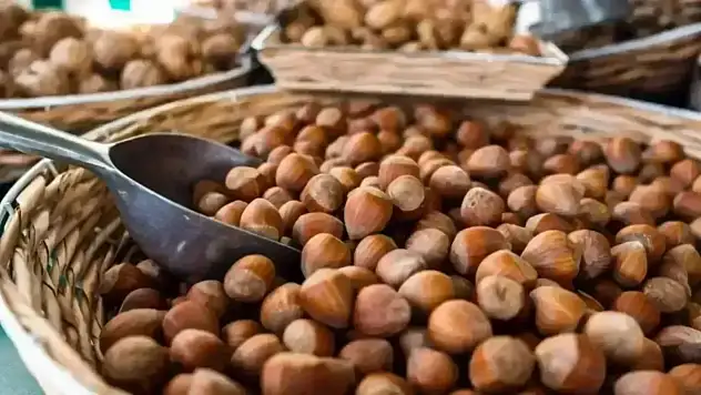 14 Ekim Güncel Fındık Fiyatları Açıklandı