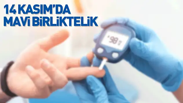 14 Kasım'da Mavi Birliktelik