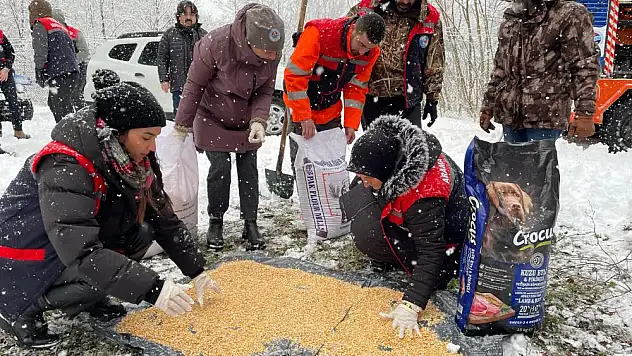 Yaban hayatı koruma sahasında hayvanlar yemlendi