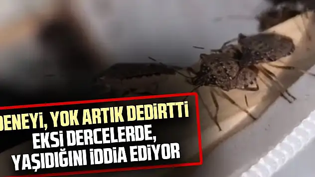 DENEYİ, YOK ARTIK DEDİRTTİ  EKSİ DERECELERDE, YAŞIDIĞINI İDDİA EDİYOR