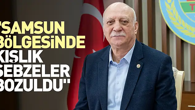 'Samsun bölgesinde kışlık sebzeler bozuldu'