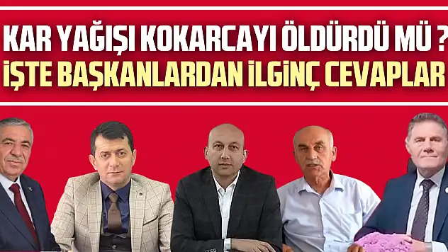 KAR YAĞIŞI KOKARCAYI ÖLDÜRDÜ MÜ ?  İŞTE BAŞKANLARDAN İLGİNÇ CEVAPLAR