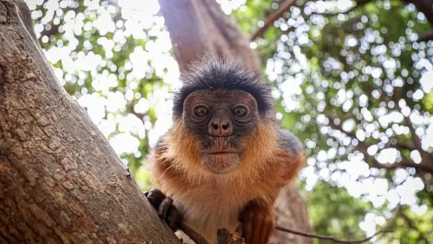 Doğayla iç içe eşsiz macera sunuyor