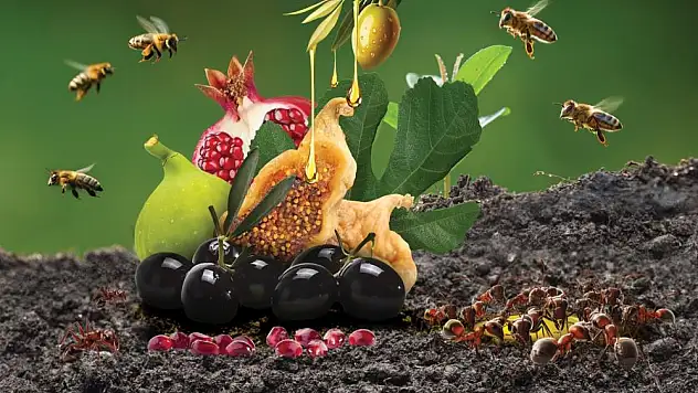 Karıncalar sayesinde 18 patent sahibi oldu