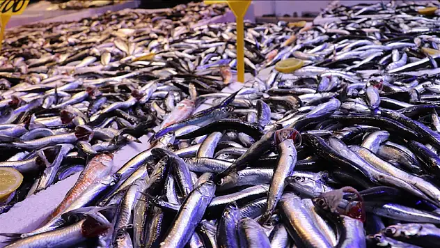 Ramazanda balığa talep arttı